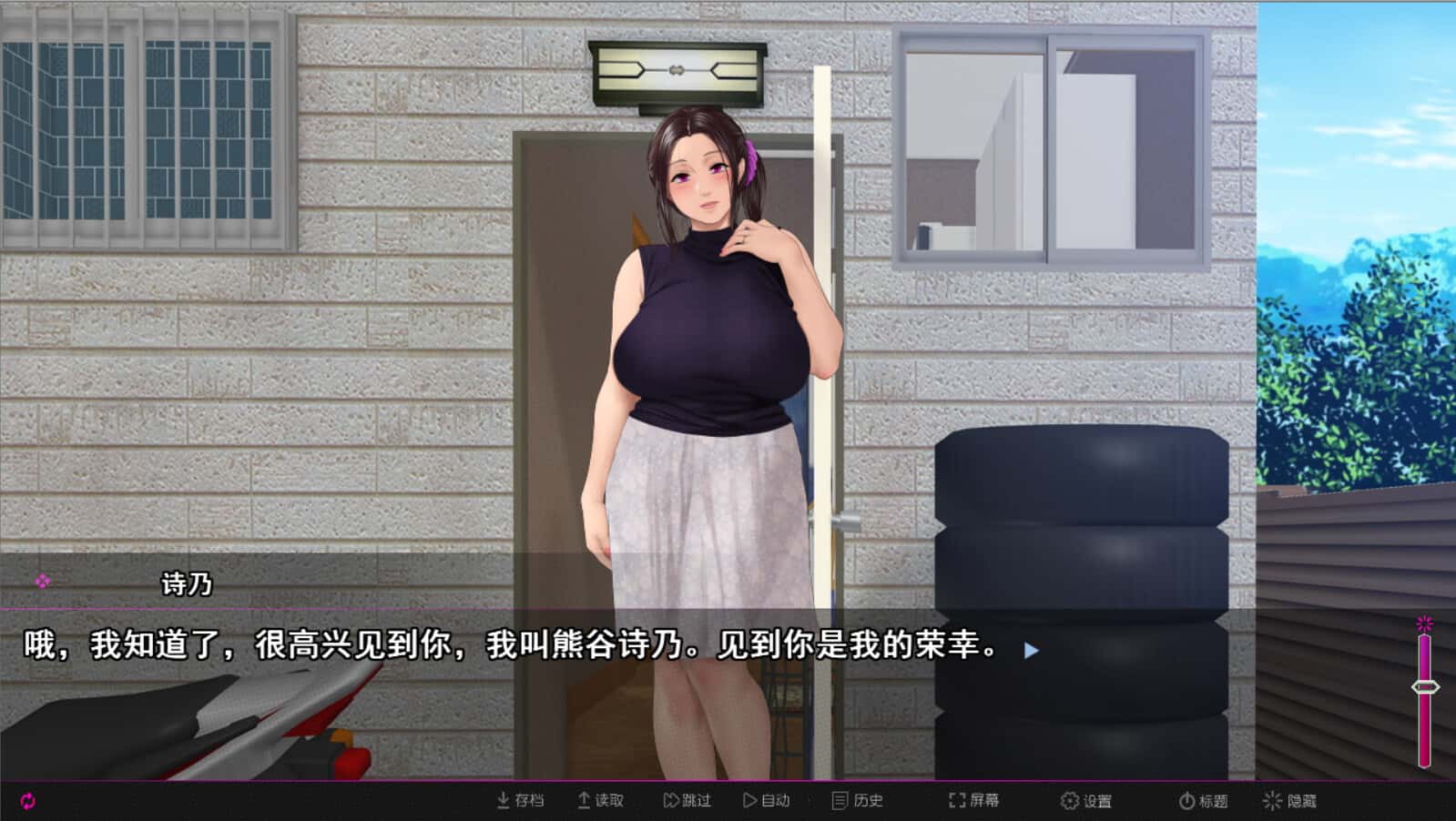 纯情房东撬房客 Afternoon Affairs & Helpless Housewives游戏封面